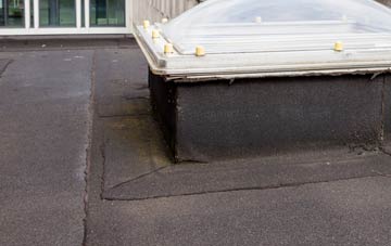 disadvantages of Melin Y Wig flat roofs