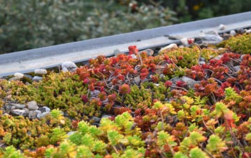 the cost of Melin Y Wig green roof installation