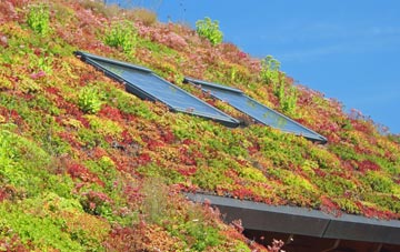 Melin Y Wig living roof systems
